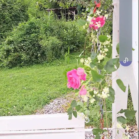 Mihajlo & Milos 公寓