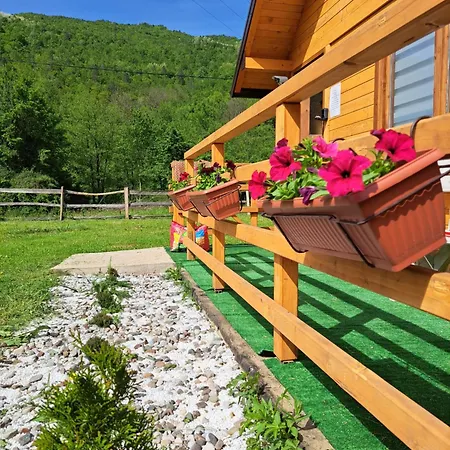 公寓 Mihajlo & Milos 耶蒂斯特