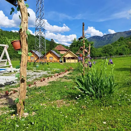 Mihajlo & Milos * 耶蒂斯特