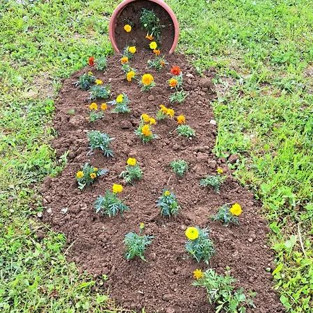 Mihajlo & Milos 公寓 耶蒂斯特