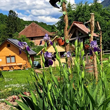 Mihajlo & Milos Appartement