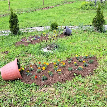 Mihajlo & Milos Appartement Tjentiste