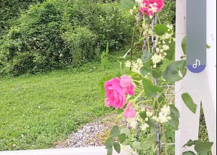 Mihajlo & Milos شقة