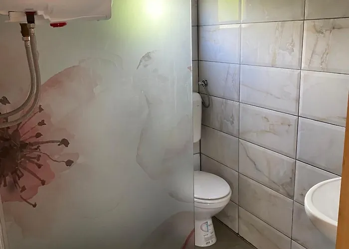 Mihajlo & Milos تجينتيستيه