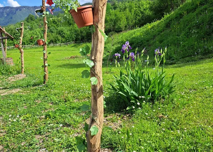 شقة Mihajlo & Milos