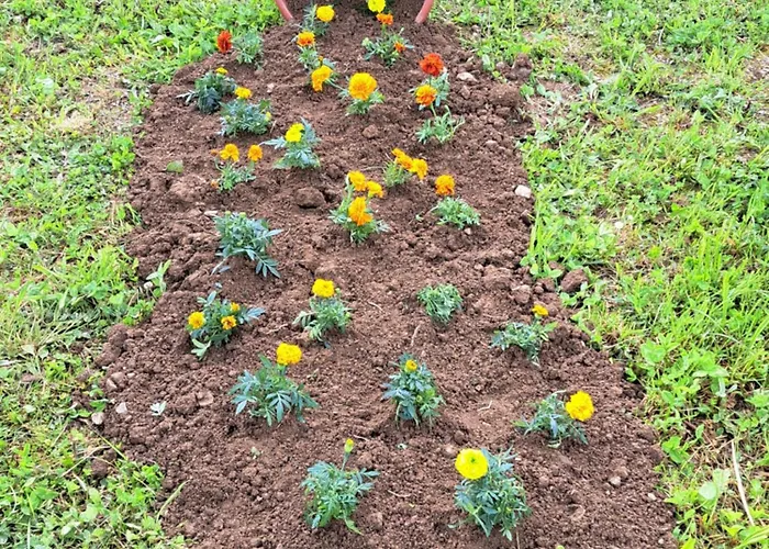 Mihajlo & Milos شقة تجينتيستيه