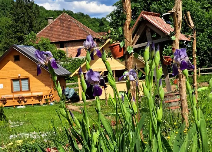 Mihajlo & Milos شقة