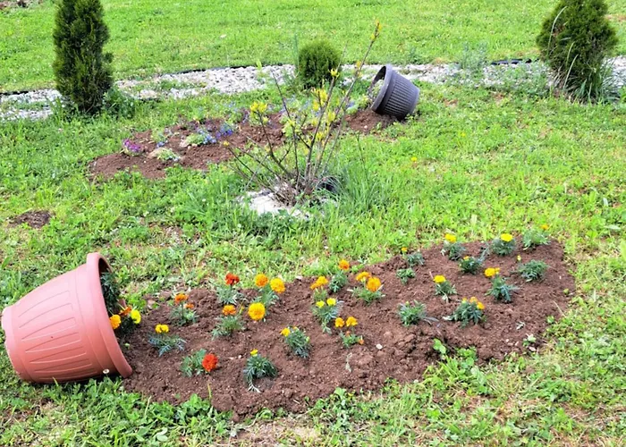 Mihajlo & Milos شقة تجينتيستيه